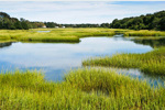 A healthy New England Salt Marsh at high tide
