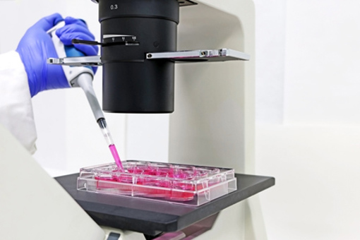 cell culture dish-GettyImages-1592382581