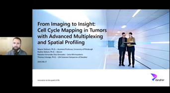 Cell Cycle Mapping In Tumors With Advanced Technologies Cell Cycle Mapping In Tumors With Advanced Technologies