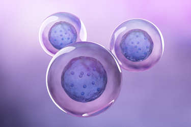 Human stem cell-GettyImages-1277439465