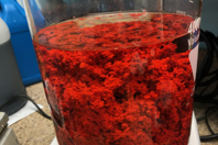 ClearTreat_Seperating Agent