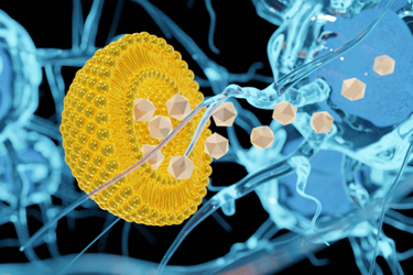 GettyImages-1410189351 drug delivery, liposome GettyImages-1410189351 drug delivery, liposome