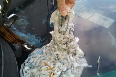 How The Industry Can Take On Wipes In The Waste Stream – And Win