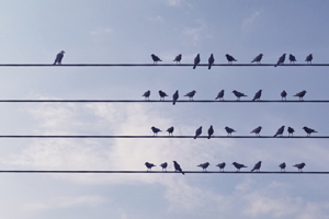 Individualality-GettyImages-1390088119
