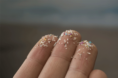 What's That Microplastic? Advances In Machine Learning Are Making Identifying Plastics In The Environment More Reliable