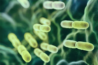 Getty-1620395002-bacteria