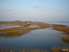 TidalMarshPlumIsland1_KirwanUSGS.jpg