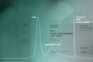 Process Development And Scale-Up Of Ceramic Hydroxyapatite