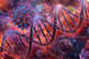 Viral vector, gene therapy, DNA delivery-GettyImages-2193840525