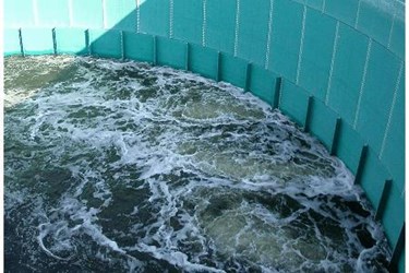 Landia%27s non-blocking aerator reduces particle sizes in Roberts%27 wastewater