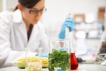 Traceability And Transparency Are Key Aspects Of Food Pathogen Testing Food Pathogen Testing