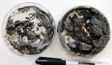 oiled_sediment.jpg oiled_sediment.jpg