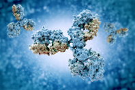 Simplifying Antibody-Drug Conjugate Payload Synthesis GettyImages-512051390-antibody-antibodies