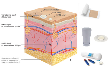 Your Partner For The Science Of Skin