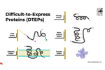 The Art of Protein Expression-FutureFields