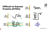 The Art of Protein Expression-FutureFields