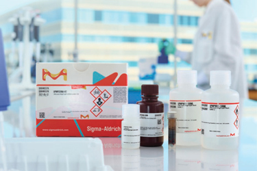 Ultra Pure & DNA-free Molecular Ultra Pure & DNA-free Molecular