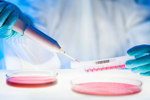 Leading Biopharma Increases The Efficiency Of Aliquoting Process GettyImages-166539104-cell-petri-gloves-lab-research