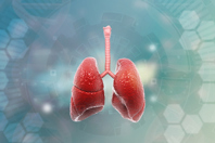 Human lungs respiratory system-GettyImages-1334425398