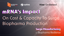 23_04_BPL_SurgeMfg_Webinar_1920x1080_Seg6