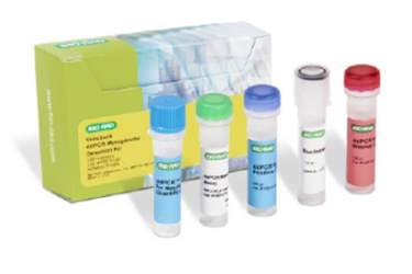 Vericheck ddPCR Mycoplasma Detection Kit