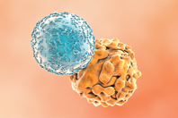 GettyImages-1321031388 t cell