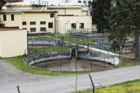 Wastewater Collection And Treatment: General Observations wastewaterplant
