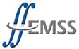 EM Software and Systems (USA)