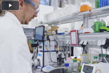 GMP-Focused Platform Processes For Microbial, pDNA, And mRNA