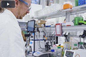 GMP-Focused Platform Processes For Microbial, pDNA, And mRNA