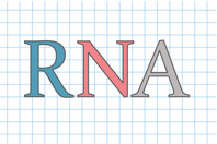 RNAi vs. mRNA: Two Therapies, Two CDMO Strategies RNA Ribonucleic Acid-GettyImages-940287780