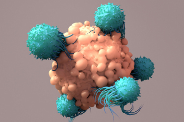 T-Cells Work to Fight Cancer, Immunotherapy, CAR T-cell therapy-GettyImages-1317697233 T-Cells Work to Fight Cancer, Immunotherapy, CAR T-cell therapy-GettyImages-1317697233