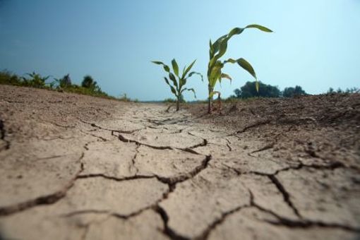 GettyImages-182892938 drought