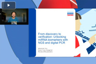 From Discovery To Verification