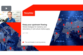 Thermo - 7-17 Thermo - 7-17