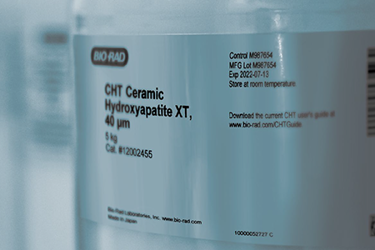 Ceramic Hydroxyapatite For Process Development And Scale-Up Ceramic Hydroxyapatite For Process Development And Scale-Up