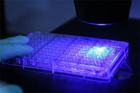 Sensitive RNA Fluorescent Quantitation With An RNA Assay Kit GettyImages-520218913-fluorescent-light-microscope-glove-well-plate
