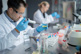 GettyImages-2187764040-cell-culture-testing-manufacturing-in-lab