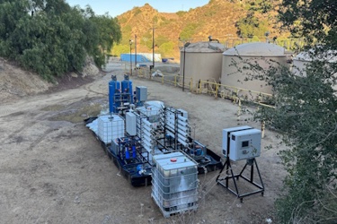 Active Membranes Active Membranes