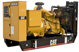 cat cat