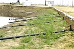 Aeration System Solves Odor And Nutrient Problems For Carrot Packing Plant