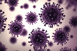 An Introduction To Environmental Monitoring & Cleaning For Aseptic Environments Microorganisms