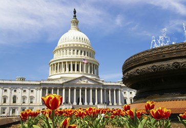 Veterans' Healthcare Access Bill Approved In Senate