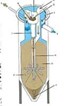 Sand Filtration for Wastewater Treatment