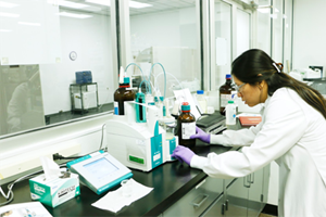 Formulation Development