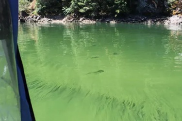 54917234391_b2d5067e76_k_0