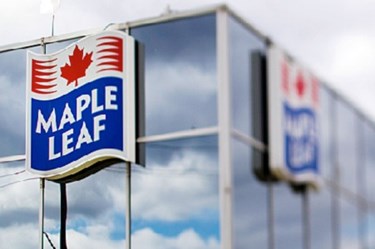 Maple Leaf Foods Profit