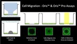 amsbiopr46-image.jpg amsbiopr46-image.jpg