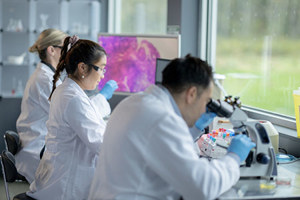 oncology-GettyImages-2191794159