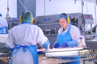 Checkweighing Challenges Call For Customization Checkweighing Challenges Call For Customization